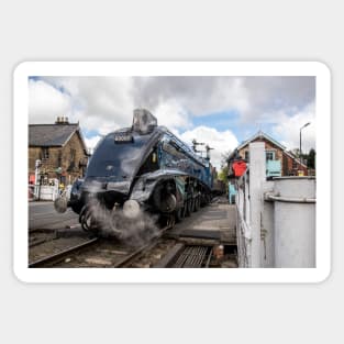 60007 Sir Nigel Gresley Sticker